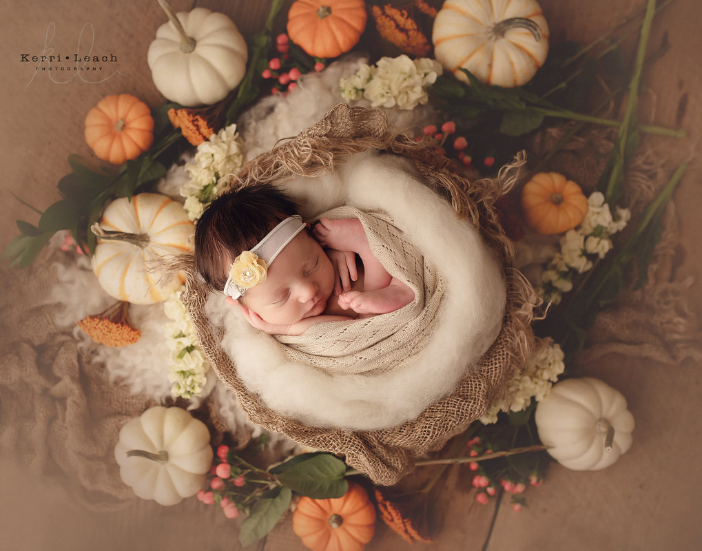 Newborn photographer Evansville, IN | Newborn photography studio in Newburgh | Newborn prop posing | Indiana newborn photographer